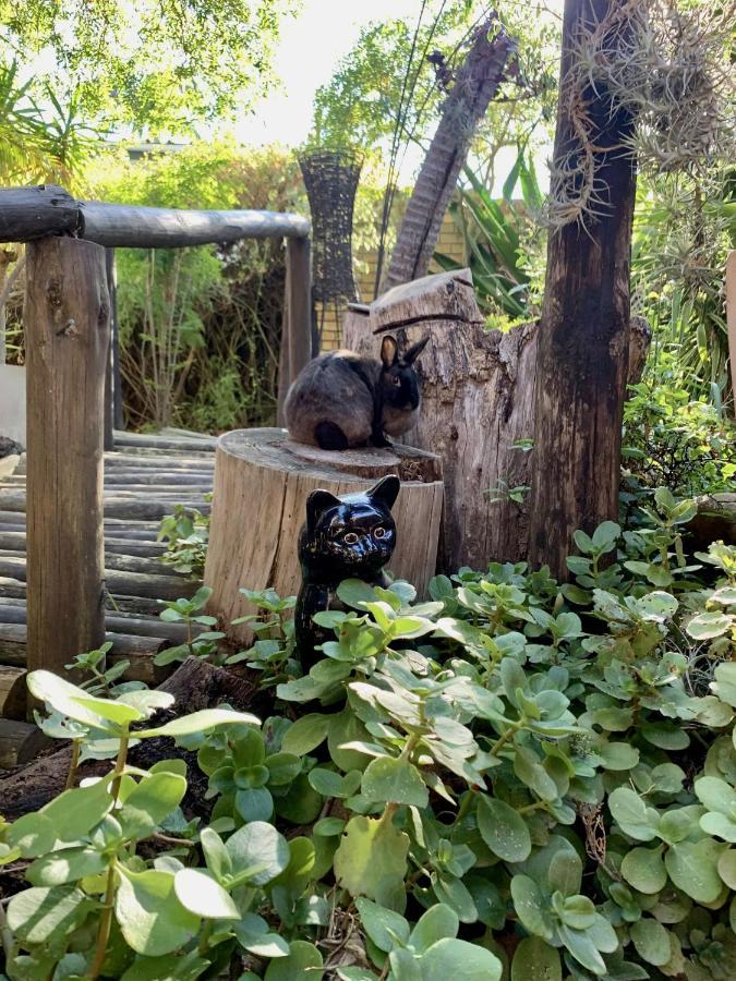 The Little Hideaway Guesthouse Stellenbosch Bagian luar foto
