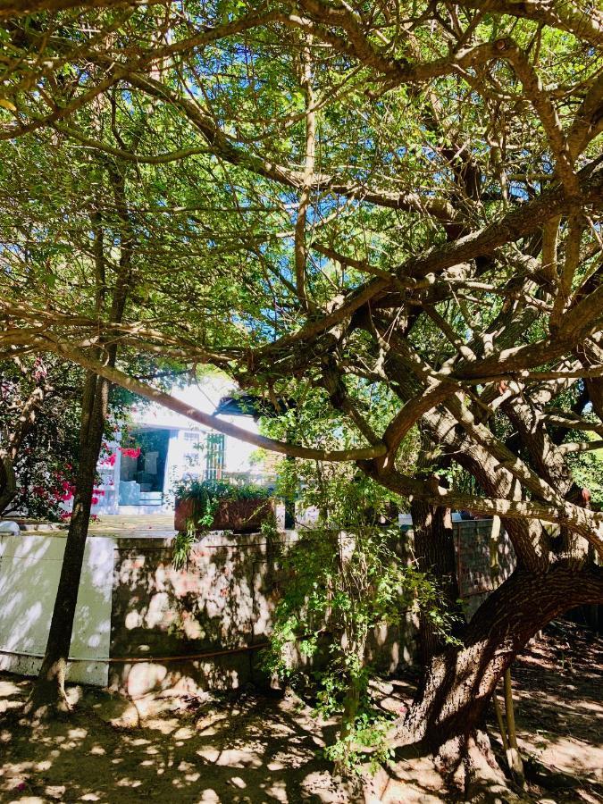 The Little Hideaway Guesthouse Stellenbosch Bagian luar foto