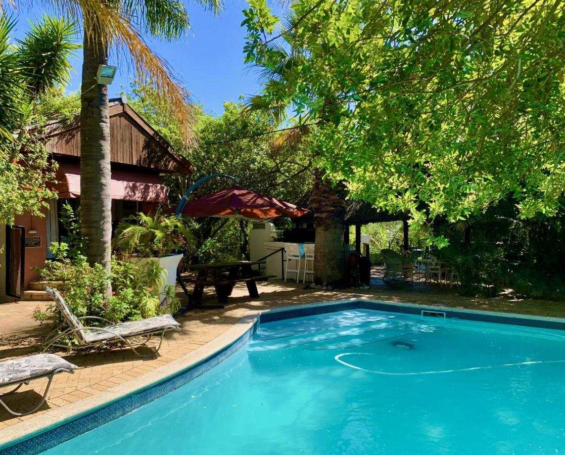 The Little Hideaway Guesthouse Stellenbosch Bagian luar foto
