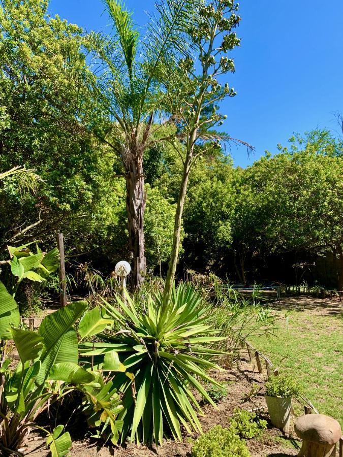 The Little Hideaway Guesthouse Stellenbosch Bagian luar foto